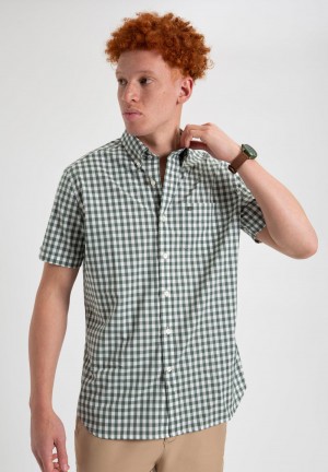 Ben Sherman House Poplin Gingham Ingek Olivazöld | 805-EDXRNT